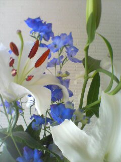 20090706092103.jpg