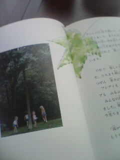 20090731152718.jpg