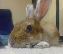 20090930230034.jpg
