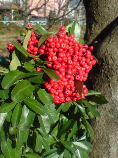 20091201133034.jpg
