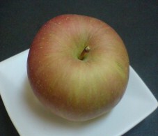 20091219165023.jpg