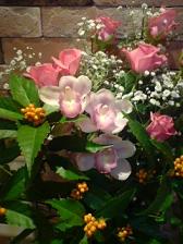 20100104182315.jpg