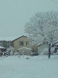 20100203090307.jpg