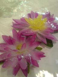 20100228185400.jpg