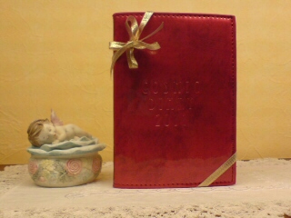20101115154227.jpg