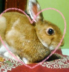 201012312314.jpg
