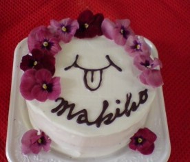 20110131104446.jpg
