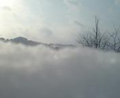 20110210092537.jpg