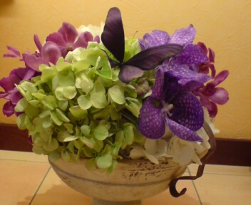 20110314104155.jpg