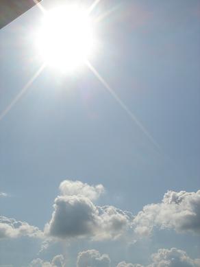 DSC00645.jpg