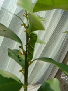 DSC00668.jpg