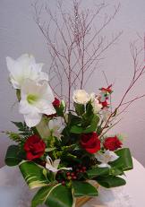 DSC00719.jpg