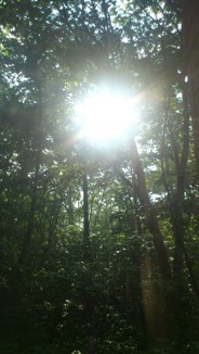DSC_0033.jpg