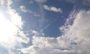 DSC_0306.jpg