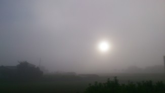 DSC_0314.jpg