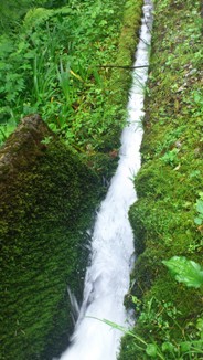DSC_0565.jpg