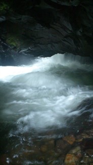 DSC_0569.jpg