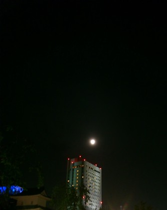 DSC_1331.jpg