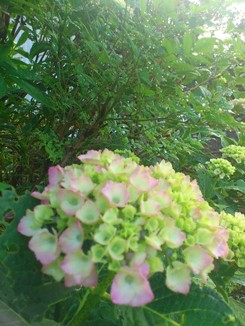 DSC_1373.jpg
