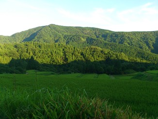 DSC_1996.jpg