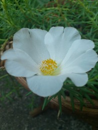 DSC_2112.jpg