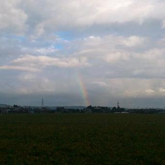 DSC_2418-1.jpg
