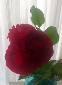 DSC_3333.jpg