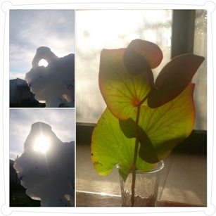 photoshake_1355719004231.jpg