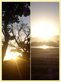 photoshake_1363229823934.jpg