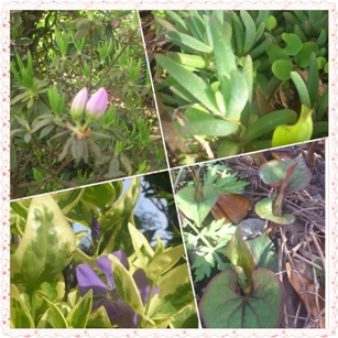 photoshake_1366674931313.jpg